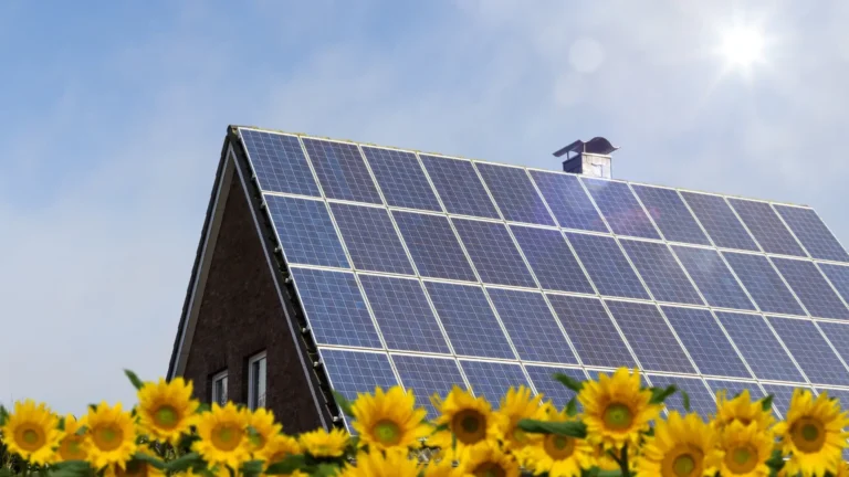 Nouveaux tarifs d&rsquo;achat d&rsquo;électricité solaire pour le 4ᵉ Trimestre 2024